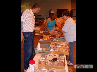 Sorting Rocks for Auction