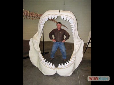 Bill in Shark Jaw